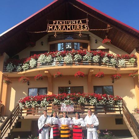 Pensiunea Maramures Ocna Sugatag Luaran gambar