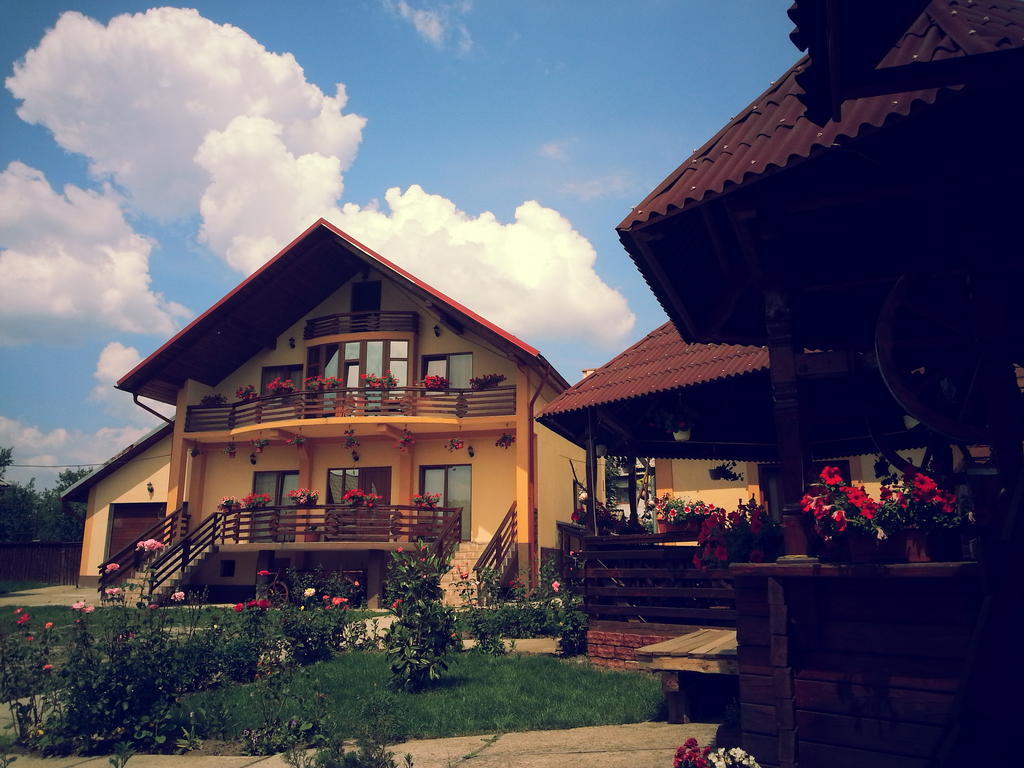 Pensiunea Maramures Ocna Sugatag Luaran gambar