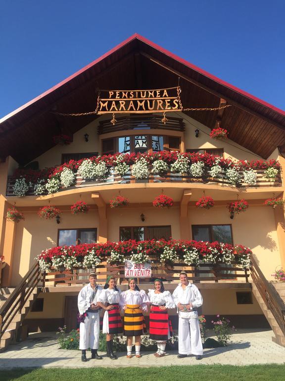 Pensiunea Maramures Ocna Sugatag Luaran gambar